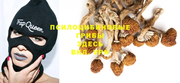 спайс Балабаново