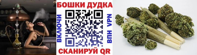 где купить наркотик  Новый Оскол  Бошки Шишки конопля 